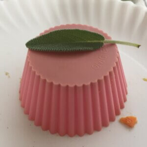 Sage On Pink Silicon Cup | Kidney Friendly Fun