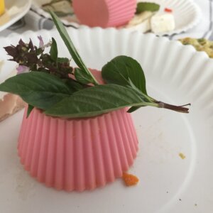 Basil On Pink Silicon Cup | Kidney Friendly Fun