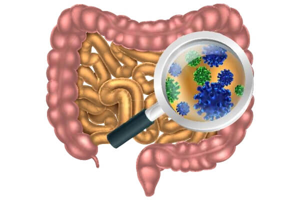 image of gut and microscope for kidney care