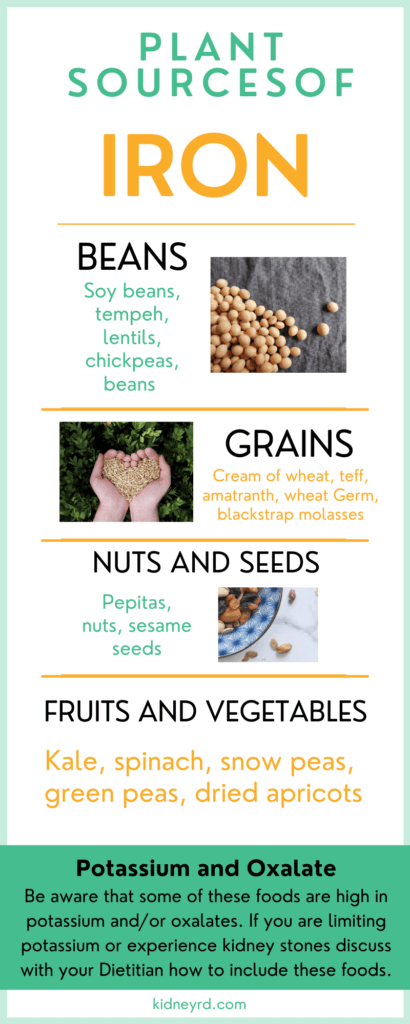 Infographic that lists the best sources of plant-based iron rich foods. Examples of beans, grains, nuts/seeds, and fruits and vegetables are included.