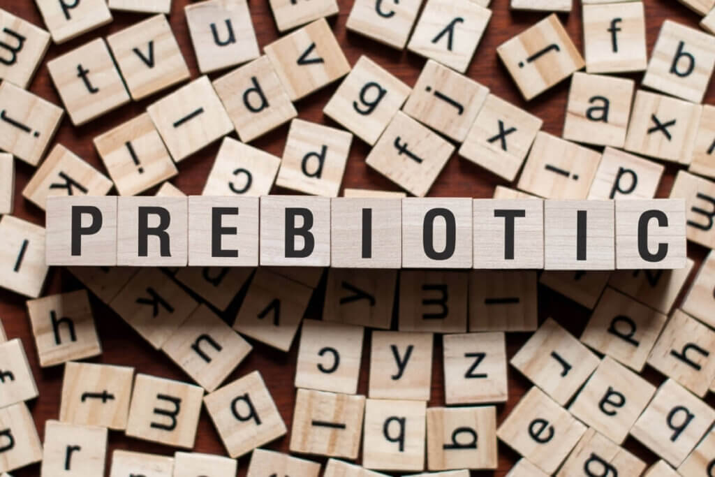 small scrabble blocks with the word prebiotic spelled out