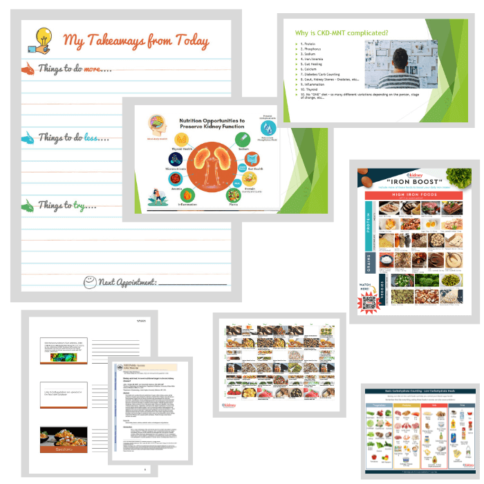 Collage of handouts, slides and tables from online presentation