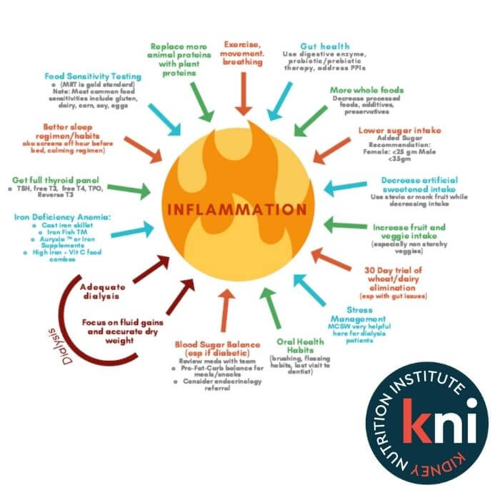 Handout of a yellow circle with multiple arrows, each representing a cause of inflammation