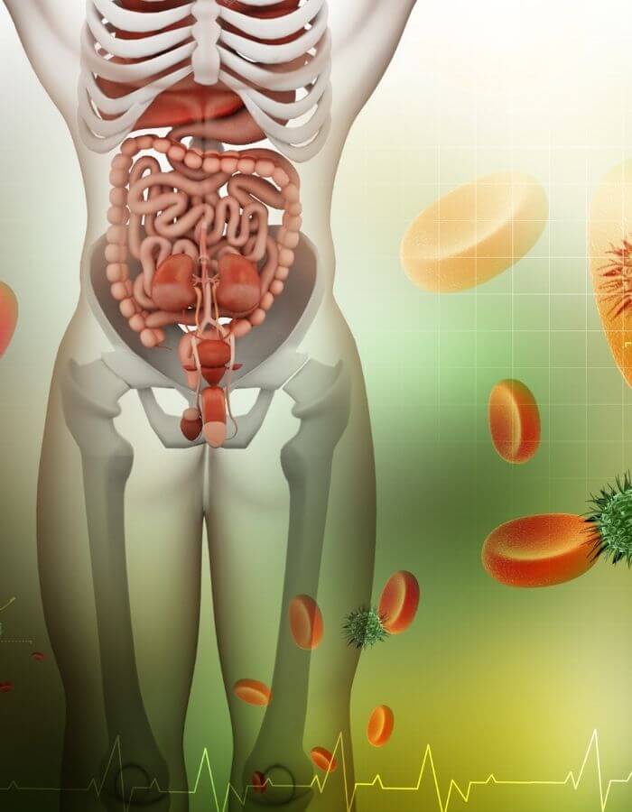 Gut Refresher to Tackle Inflammation (2022)