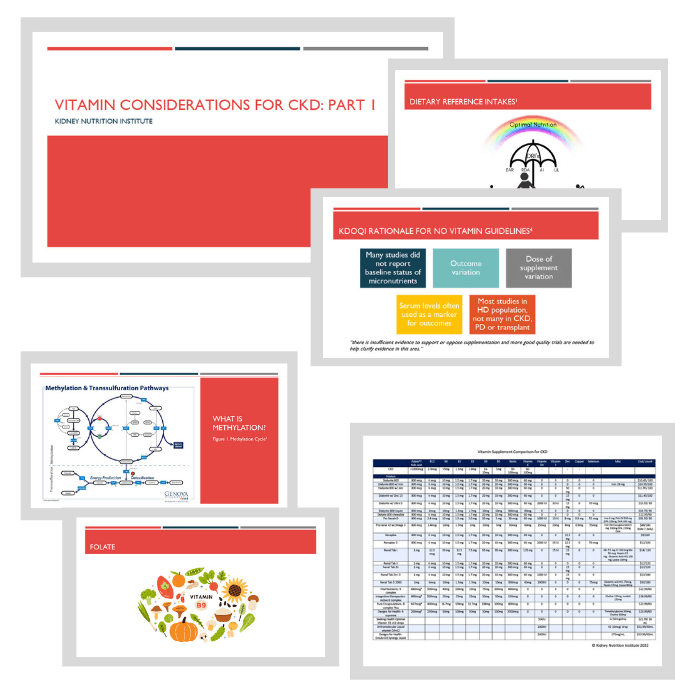 handouts and slides in collage from online course