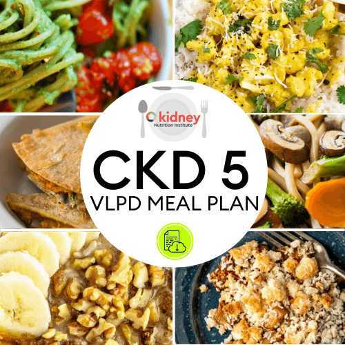 CKD Stage 5 Meal Plan