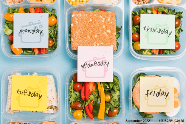 Lunch boxes with different meals prepared and labeled for each day of the week to illustrate concepts of meal planning