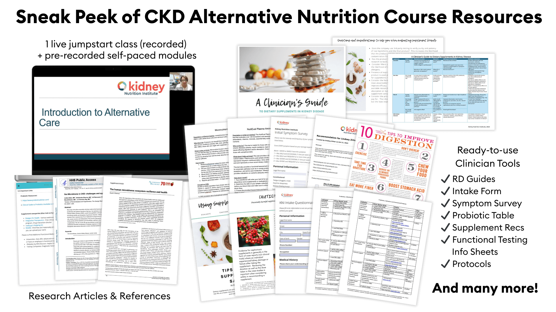 Ckd Deep Dive Alternative Nutrition Ckd Deep Dive Alternative Nutrition