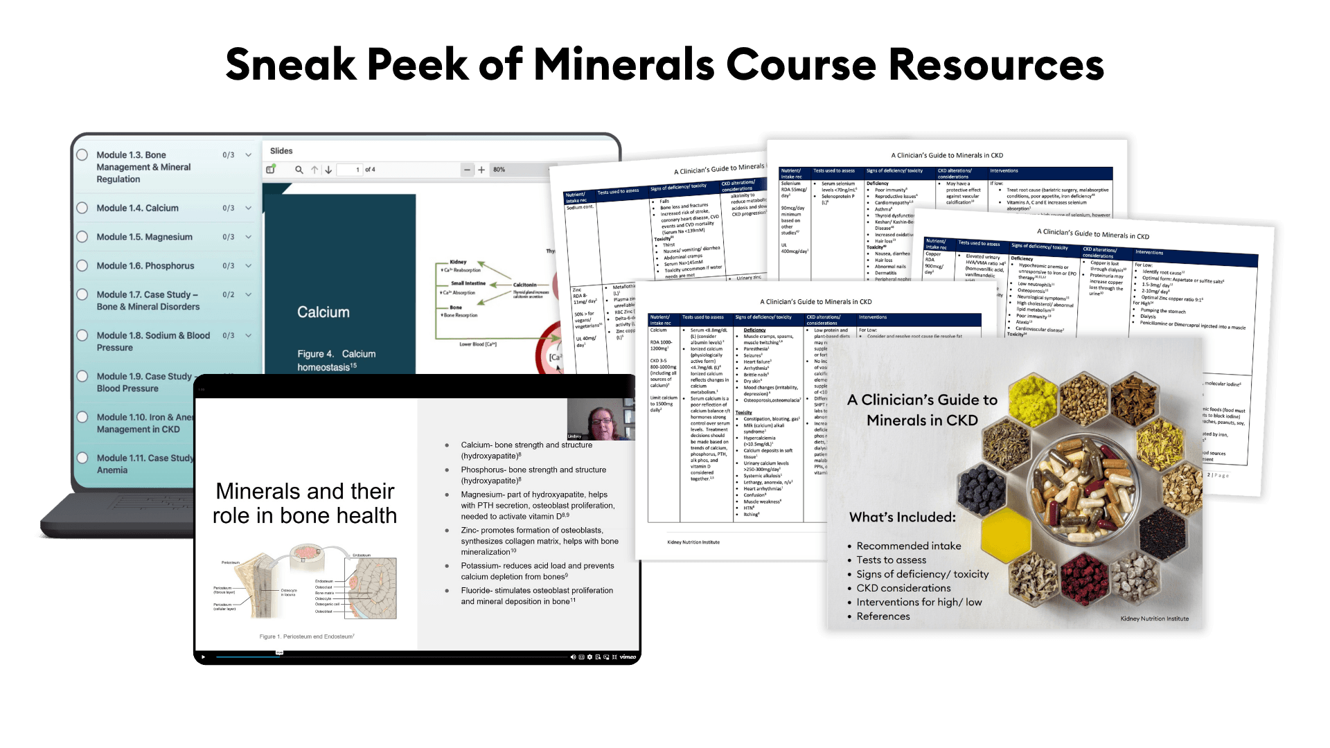 Minerals Course