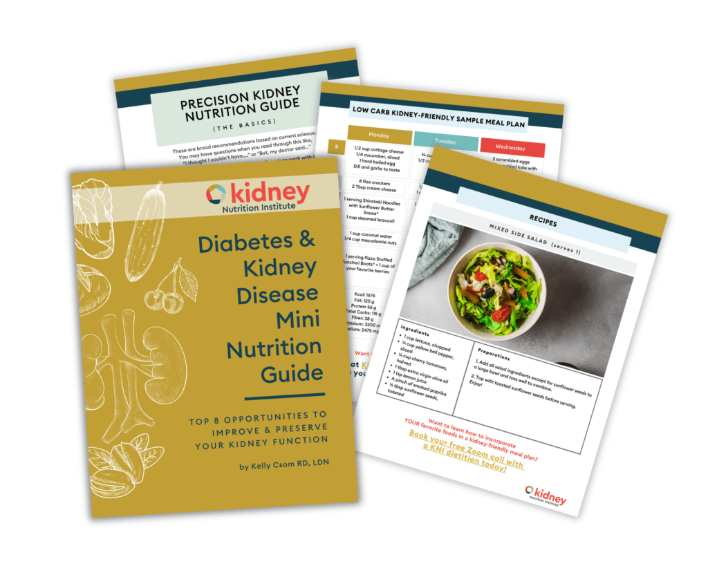 Diabetes Ckd Mini Nutrition Guide
