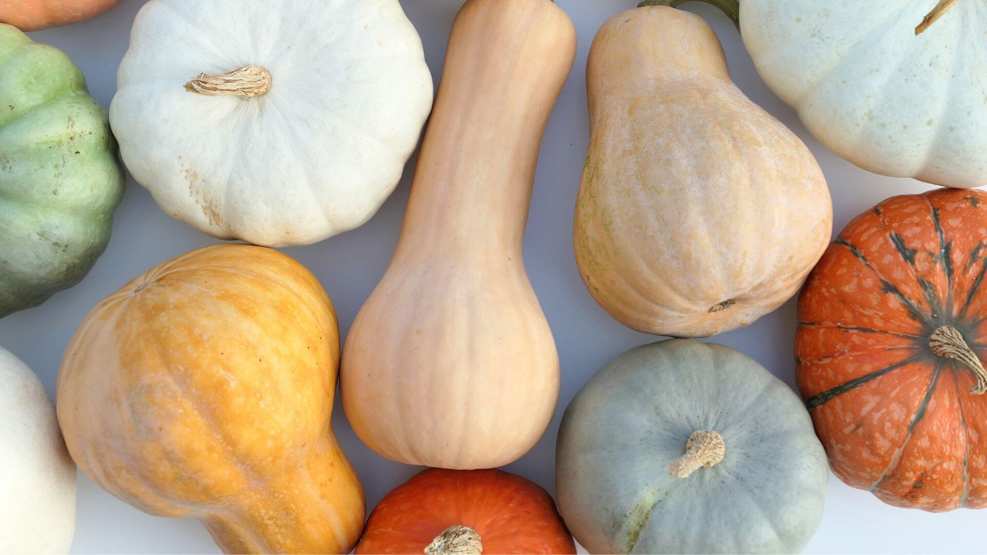 Different Types of Winter Squashes