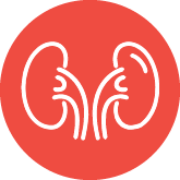 Kni Advanced Testing Icon