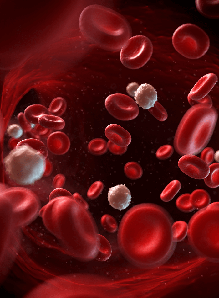 Cracking The Code On Anemia In Ckd Thinkific Course Image (700 X 950 Px)