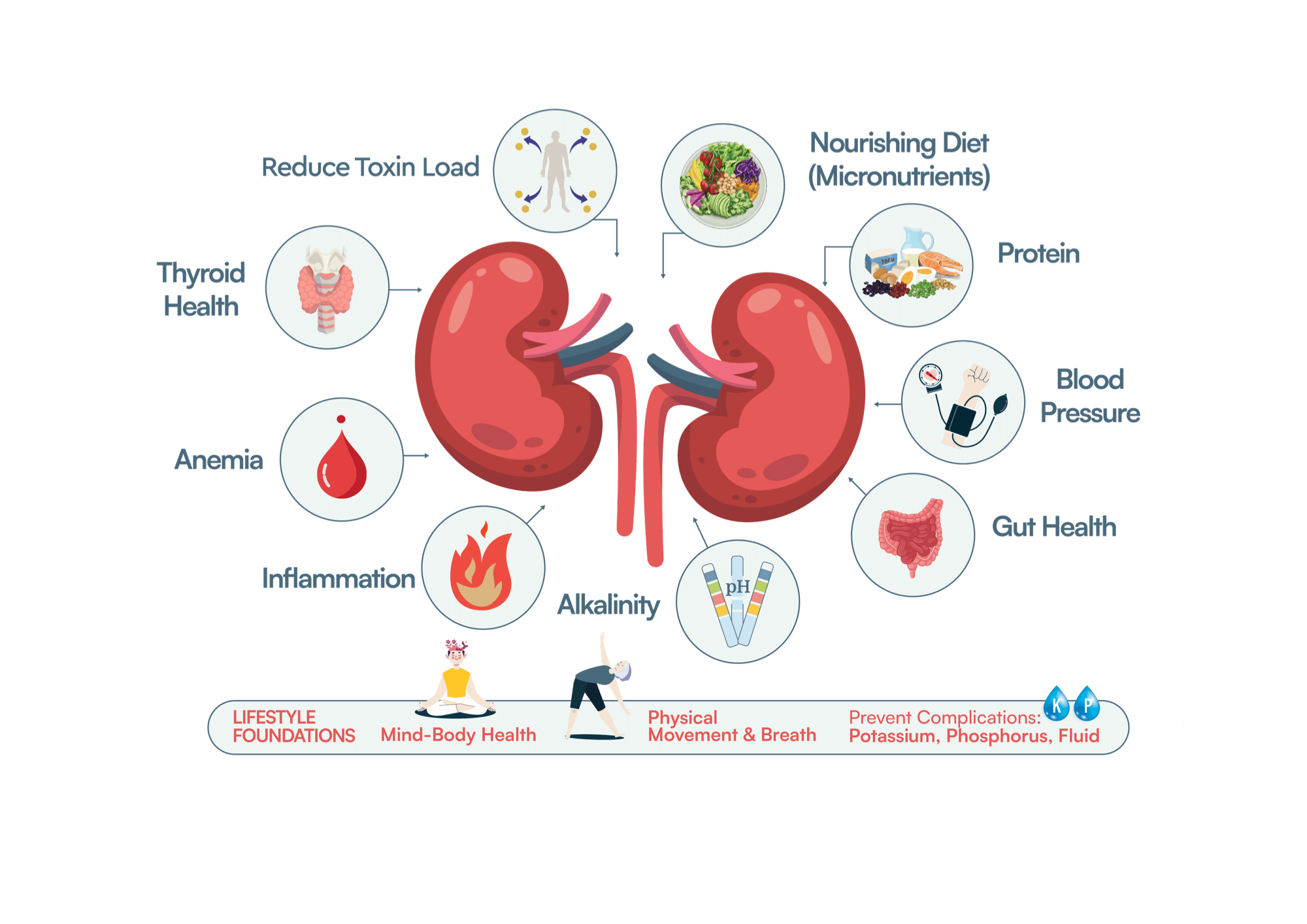 Updated Ckd Opportunities For Web Bar