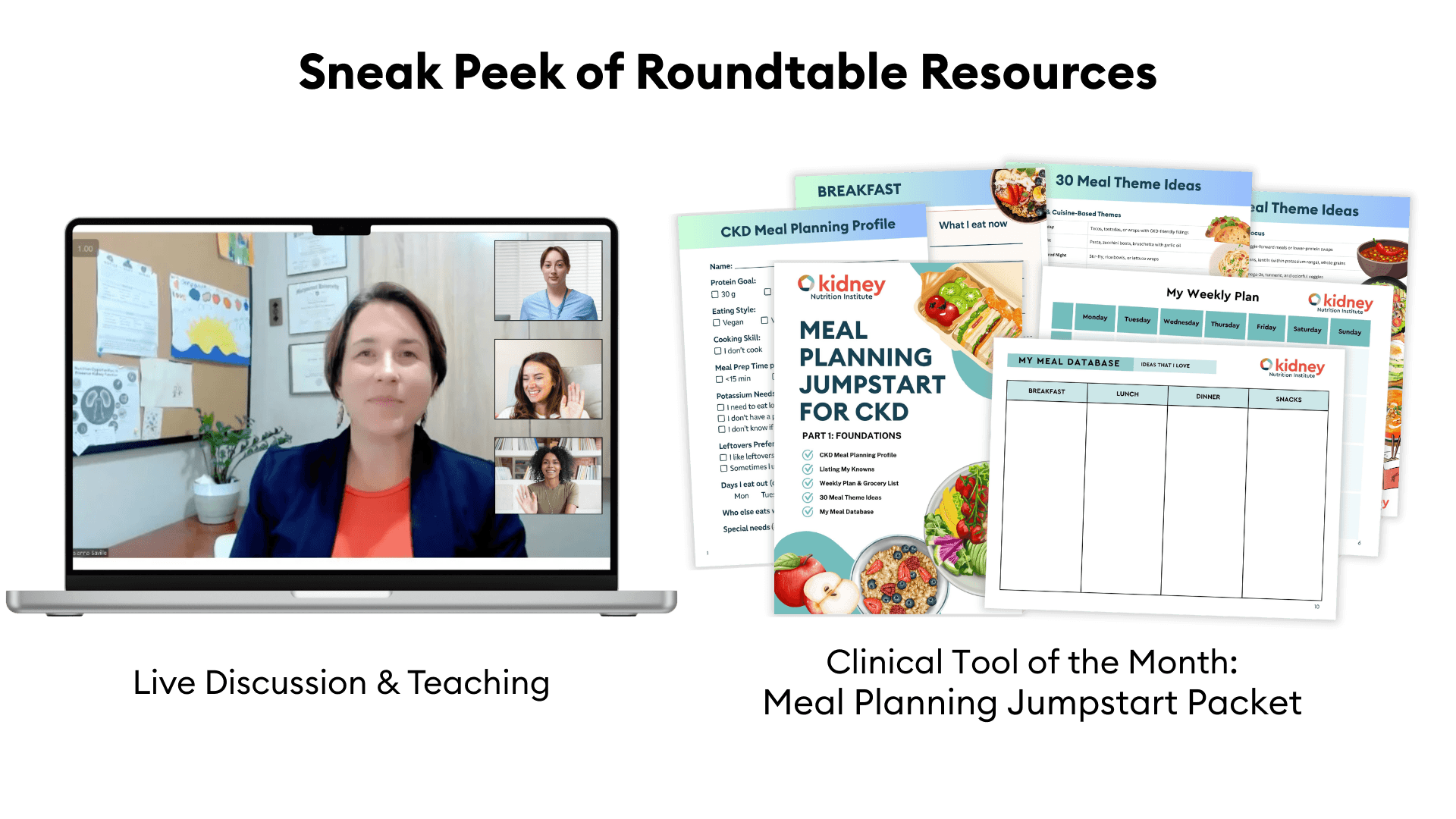 March Roundtable Meal Planning For Ckd