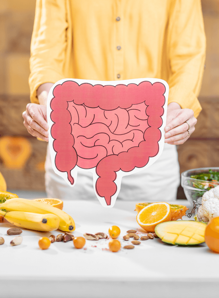 Gut Health Basics for CKD