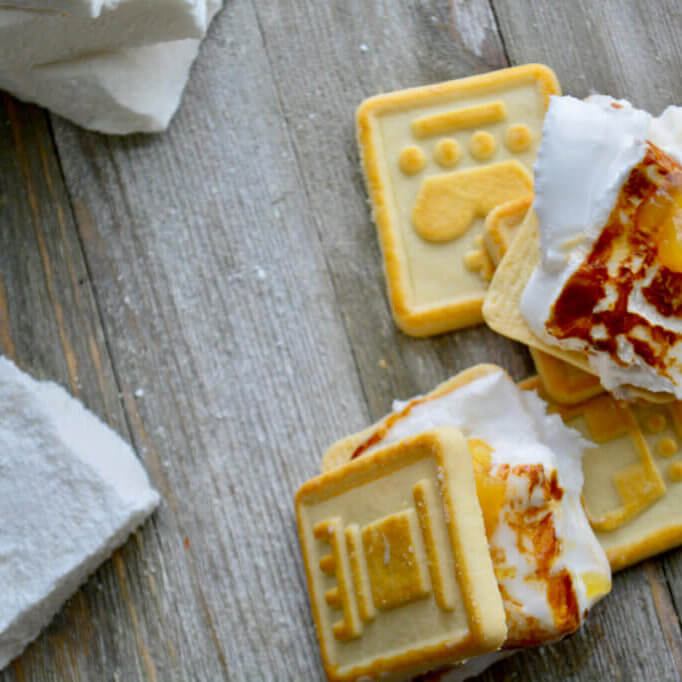 Lemon Curd S'more For A More Kidney Friendly Treat