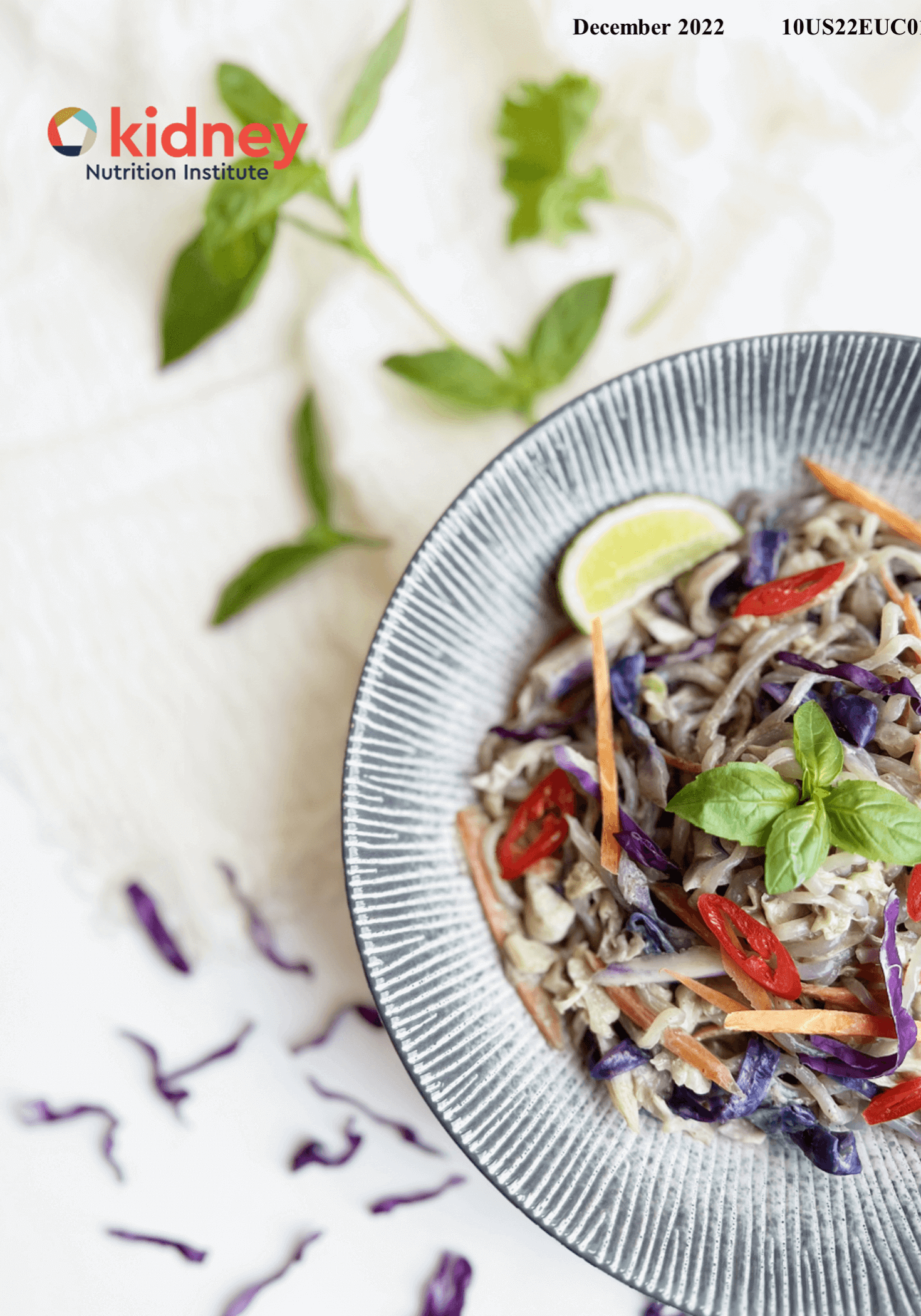 A bowl of shirataki noodles stir fried with curry sauce and coleslaw mix