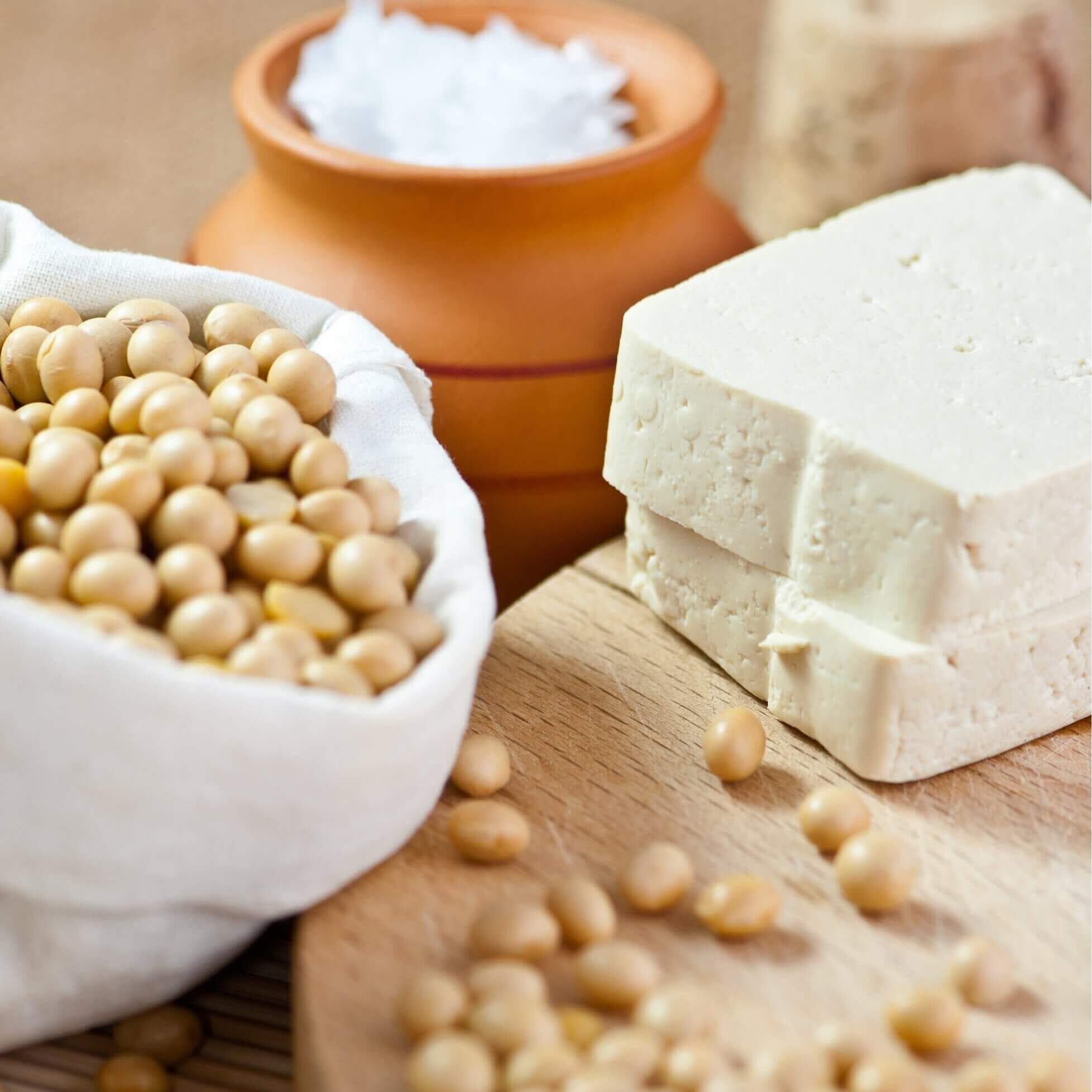 soy and soy products tofu